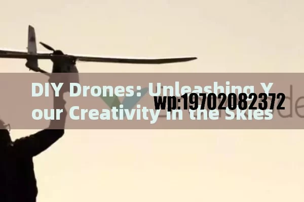 DIY Drones: Unleashing Your Creativity in the Skies of America