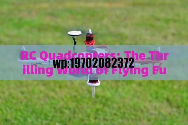 RC Quadcopters: The Thrilling World of Flying Fun in the US